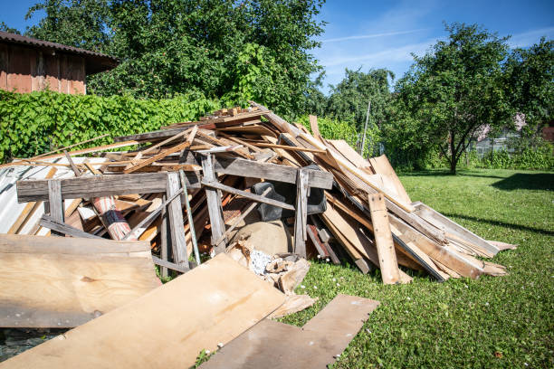 Best Yard Waste Removal  in Ely, MN
