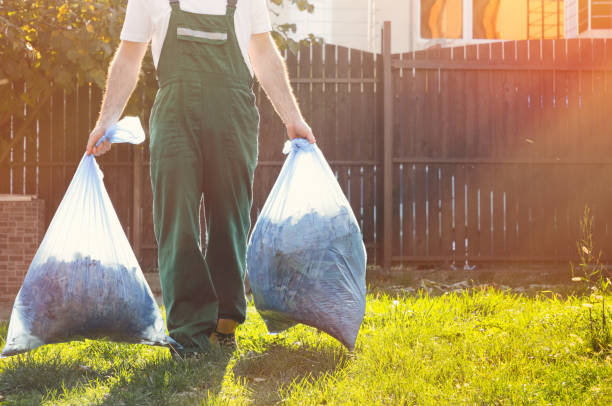 Best Recycling Services for Junk  in Ely, MN
