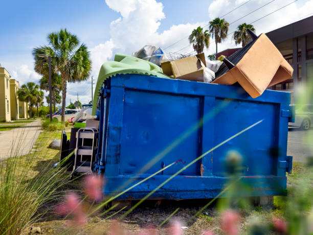 Best Demolition Debris Removal  in Ely, MN