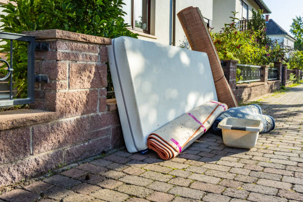Best Shed Removal  in Ely, MN