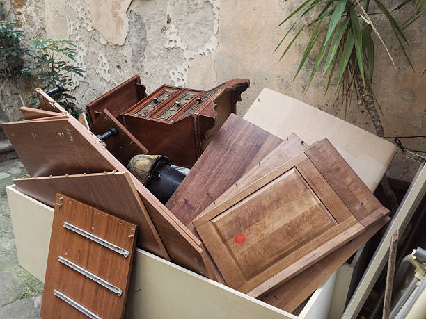 Best Residential Junk Removal  in Ely, MN